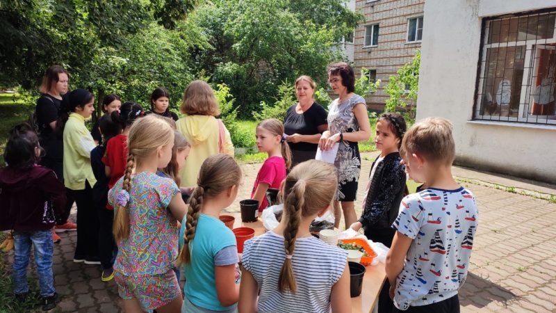 Тучковские ребята научились сажать цветы