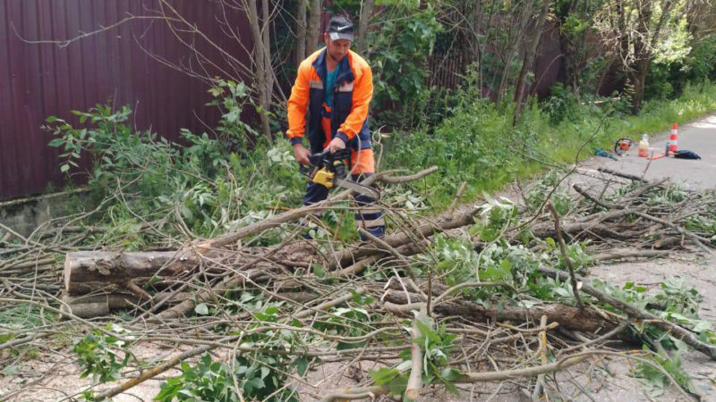 В Рузском округе приводят в порядок зеленые насаждения