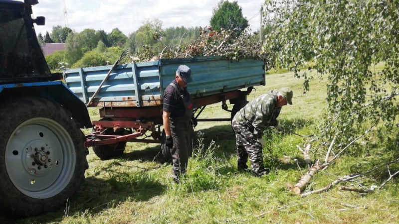 В Рузском округе обрезают деревья и кустарники