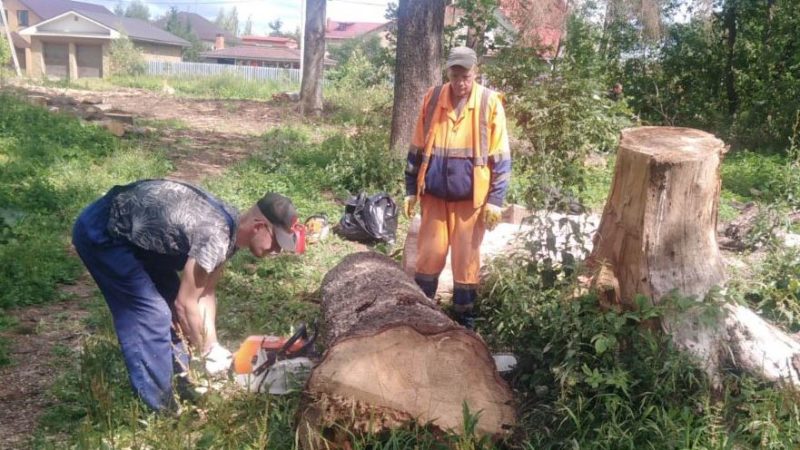 В Рузском округе вывозят порубочные остатки