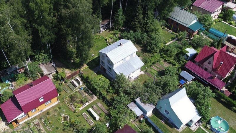 Более 40 самовольных занятий лесных участков выявлено в Подмосковье с начала августа