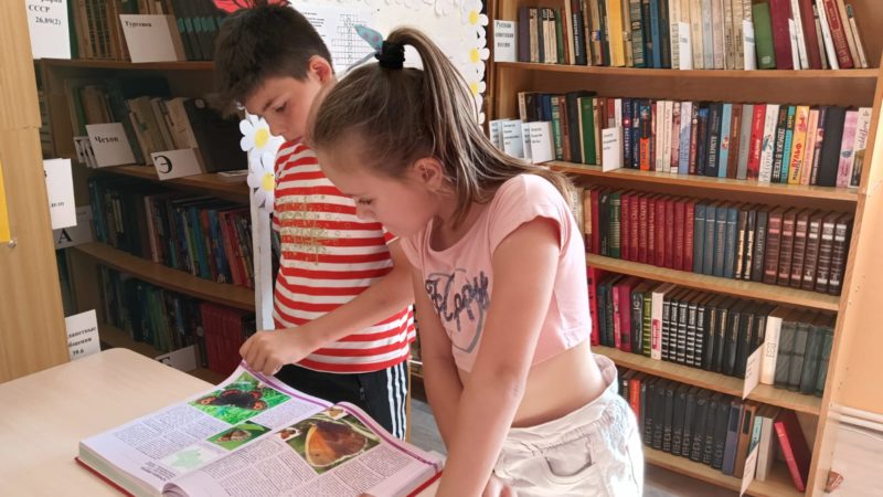 Воробьевские ребята ознакомились с природой Подмосковья