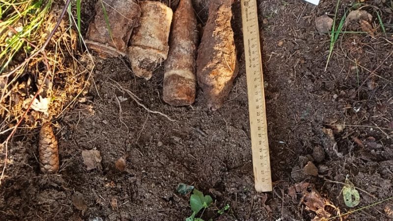 В Рузском округе обезвредили гранаты и снаряды времен ВОВ