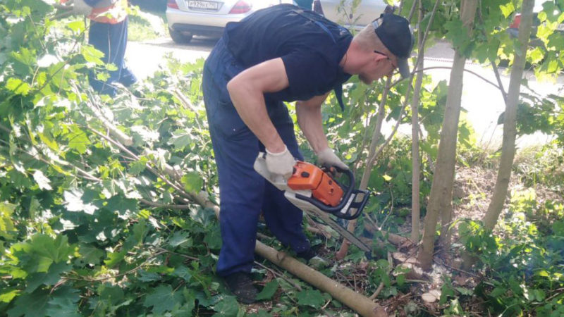 В Рузском округе убирают сухие деревья и кустарники