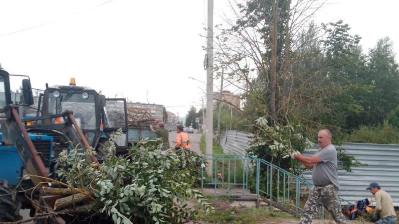 В Рузском округе убирают порубочные остатки