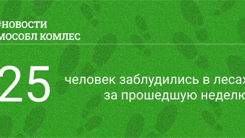 Число заблудившихся за неделю в подмосковных лесах снизилось в два раза