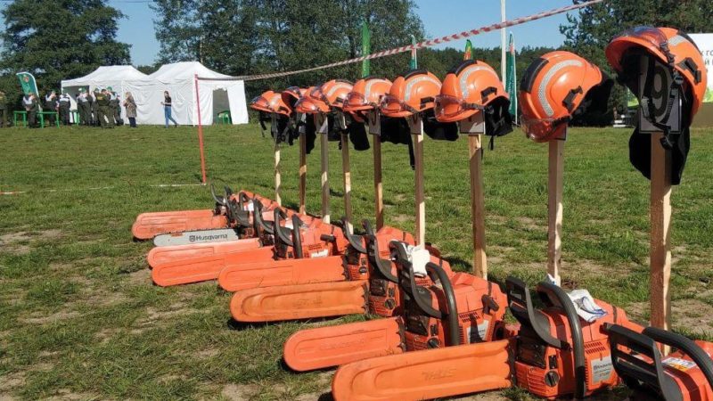 Областной смотр-конкурс на звание «Лесник года» пройдет на территории Виноградовского лесничества