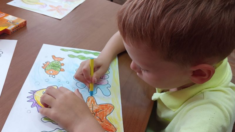 Юные ружане знакомились с морскими животными в библиотеке