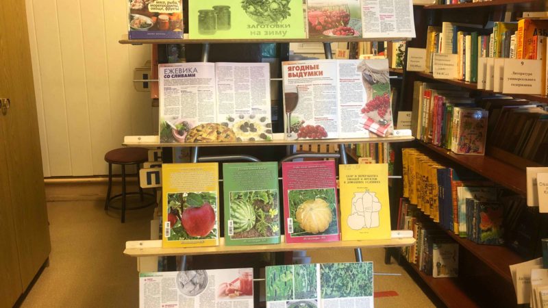 Узнать о консервировании фруктов и овощей – в Сытьковской библиотеке