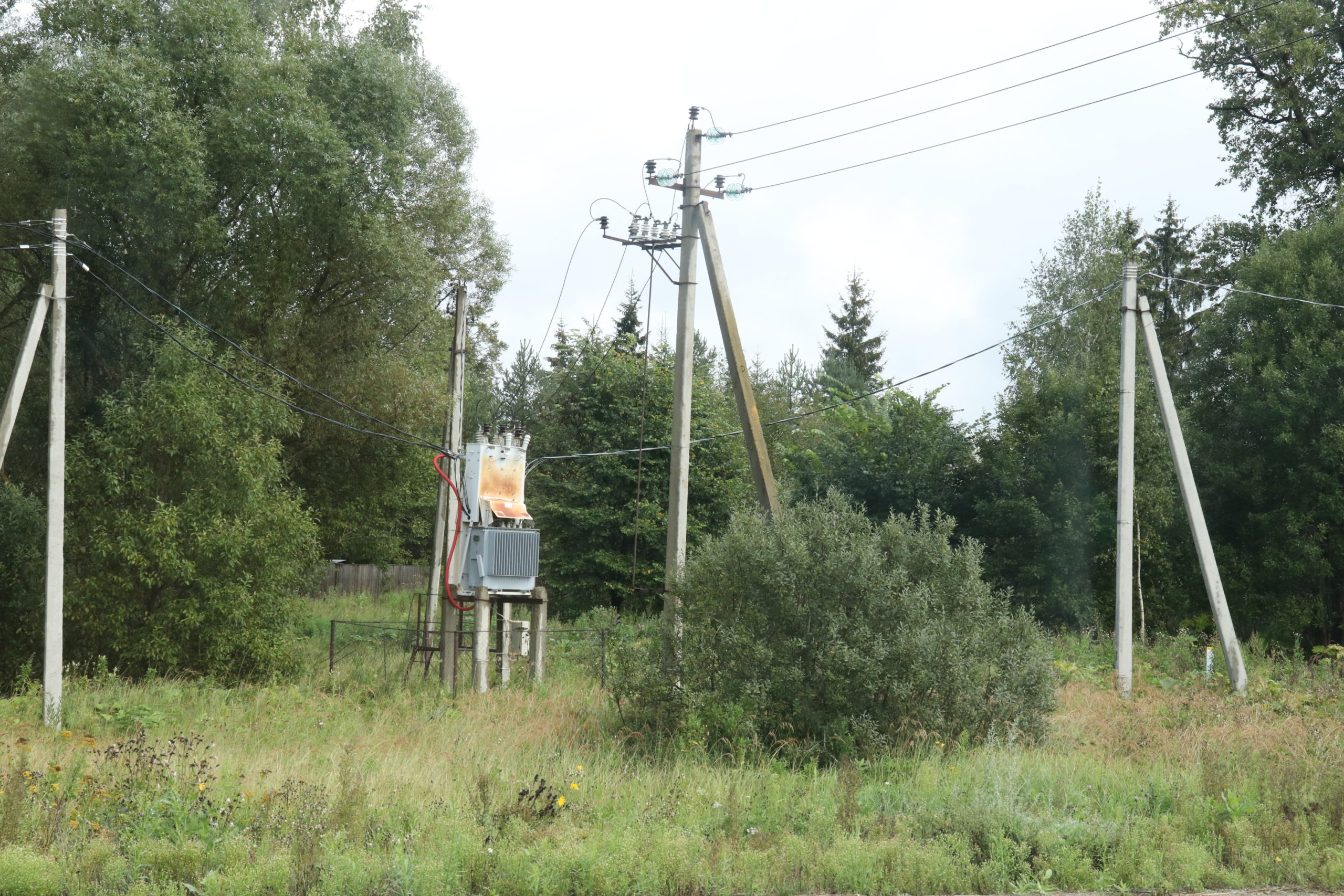 В Рузском округе приводят в порядок электросети | 04.09.2023 | Руза -  БезФормата