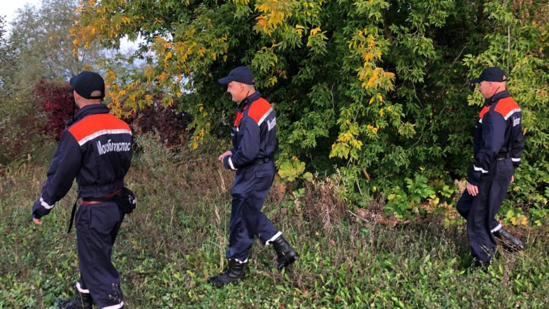 Ружанам напоминают, что нужно делать, чтобы не заблудиться в лесу