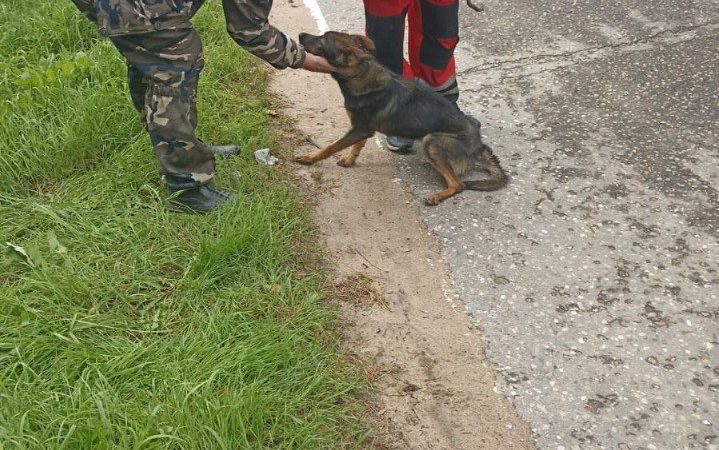 Доброе всегда побеждает зло!