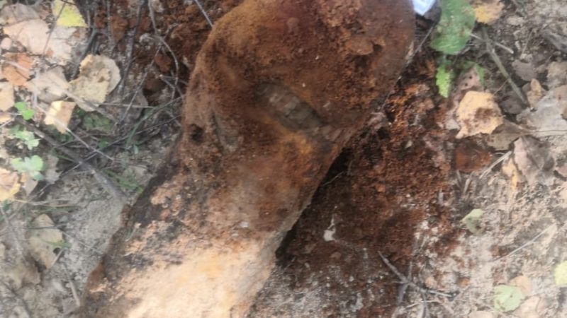Взрывотехники уничтожили артиллерийский снаряд времен ВОВ в Рузском  округе