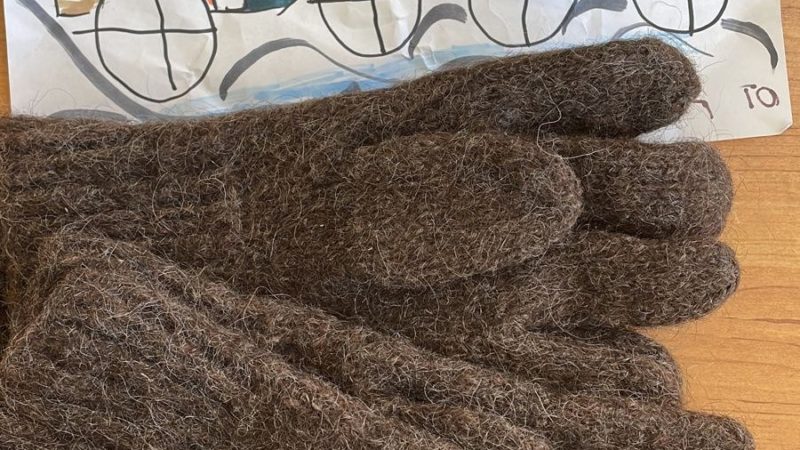 Рузские школьники собирают посылки в зону СВО