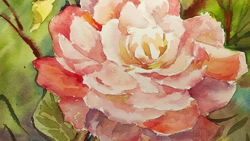 Ружан приглашают полюбоваться на натюрморты и пейзажи