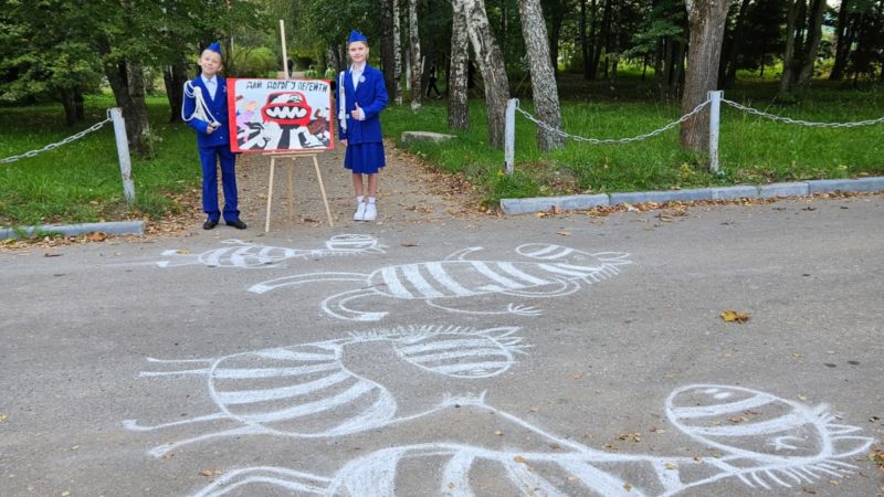 Юные сытьковцы и ЮИДовцы позаботились о дорожной безопасности