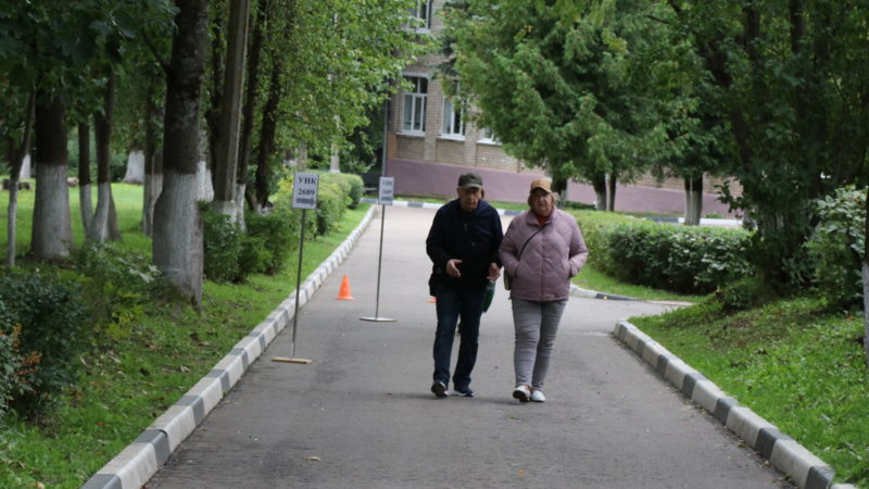 Ружане выбирают губернатора на участках и дистанционно