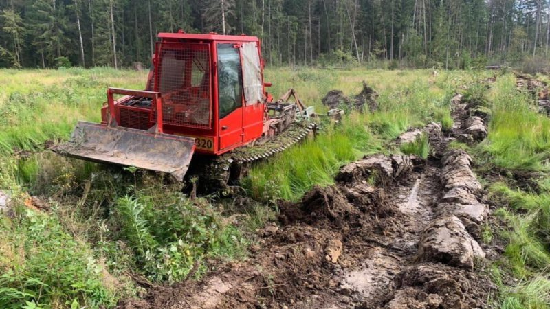 Работы по подготовке почвы к акции «Наш лес. Посади свое дерево» в самом разгаре