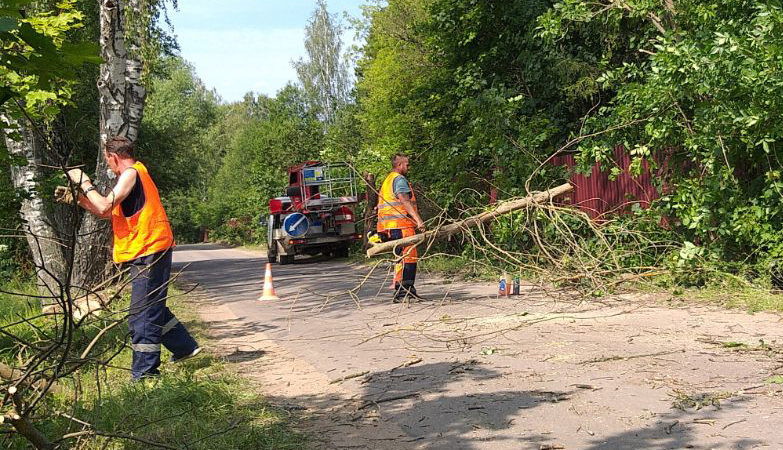 В Рузском округе убирают сухостой