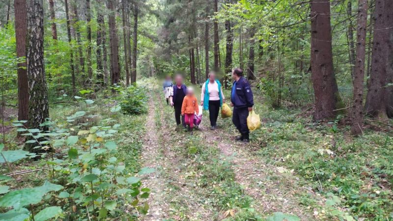 Работники Мособлпожспас вывели из леса более 20 заблудившихся грибников