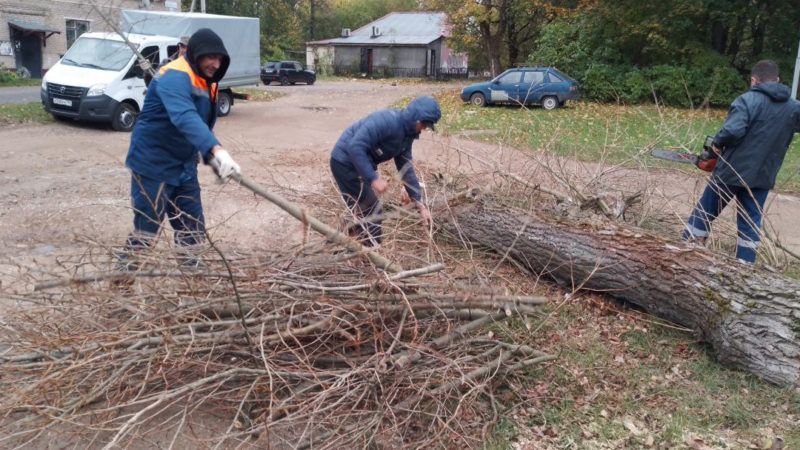 В Рузском округе вывозят порубочные остатки