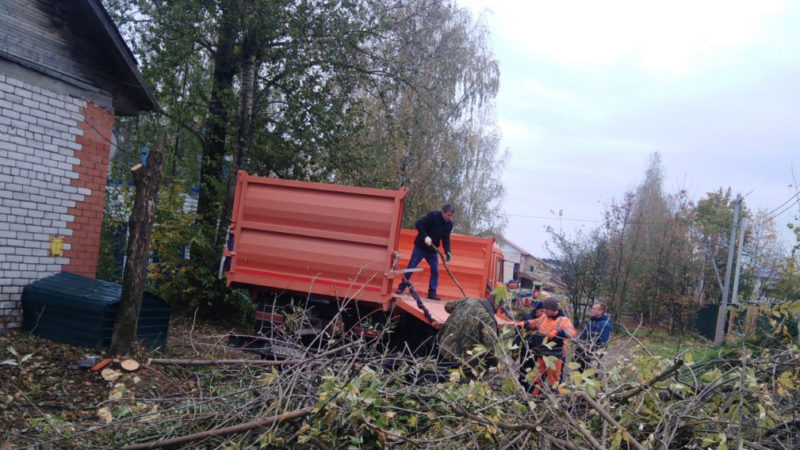 В Рузском округе вывозят ветки