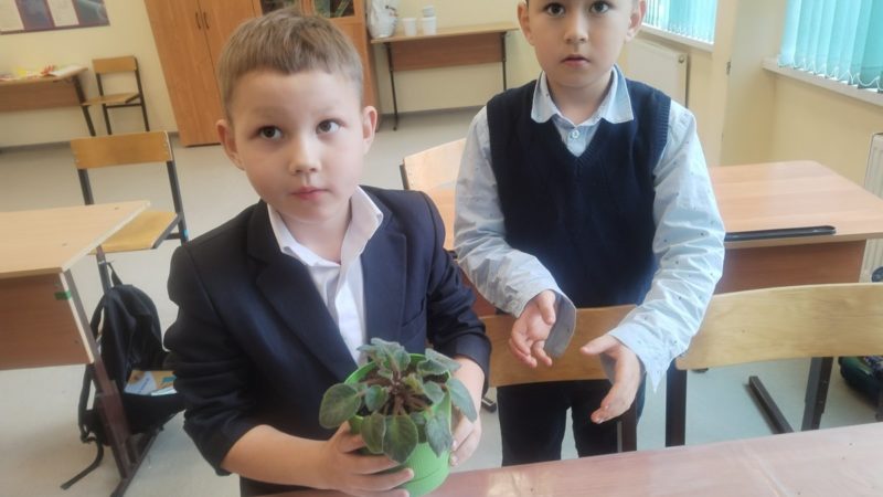 Покровские школьники выращивают комнатные цветы