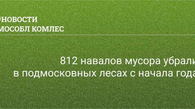 Более 800 навалов мусора убрали в подмосковных лесах с начала года