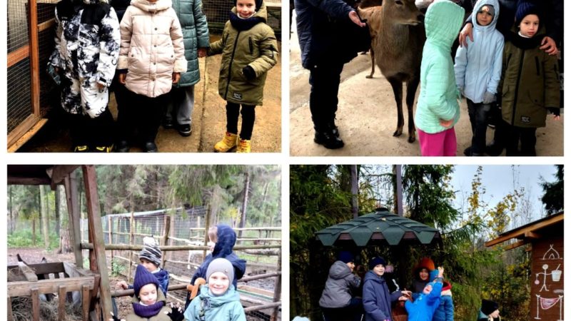 Тучковским школьникам рассказали о северных оленях