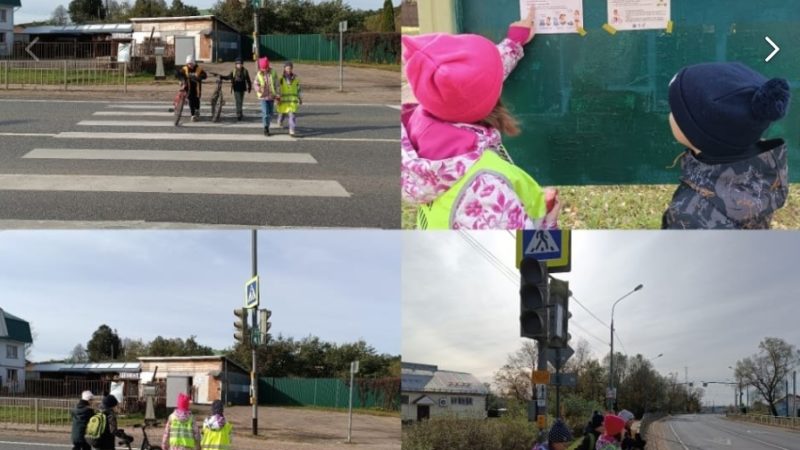 Никольские школьники провели практическое занятие на пешеходном переходе