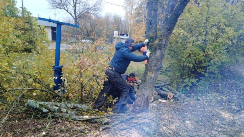 В Рузском округе убирают аварийные деревья