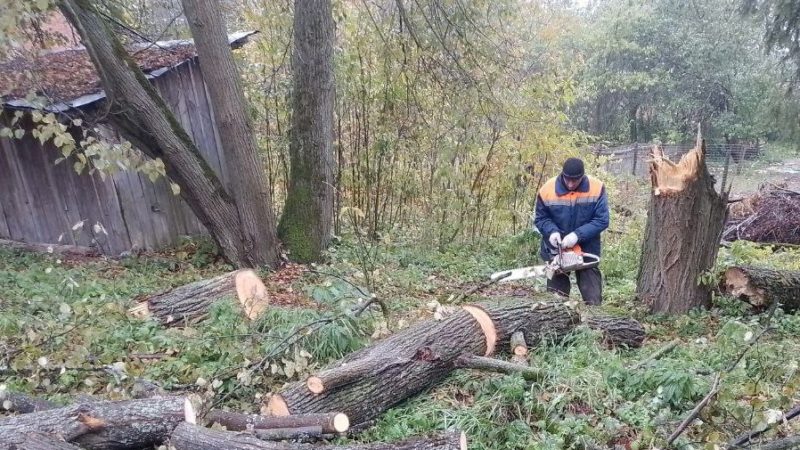 В Рузском округе убирают порубочные остатки