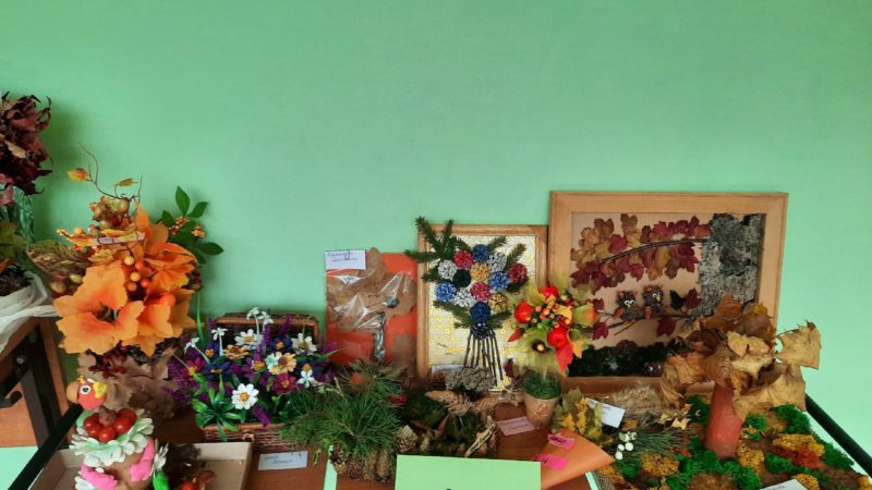 В Нестеровском лицее открылась выставка осенних поделок