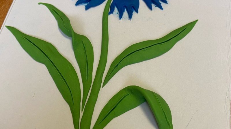 Орешкинцы занимались пластилинографией