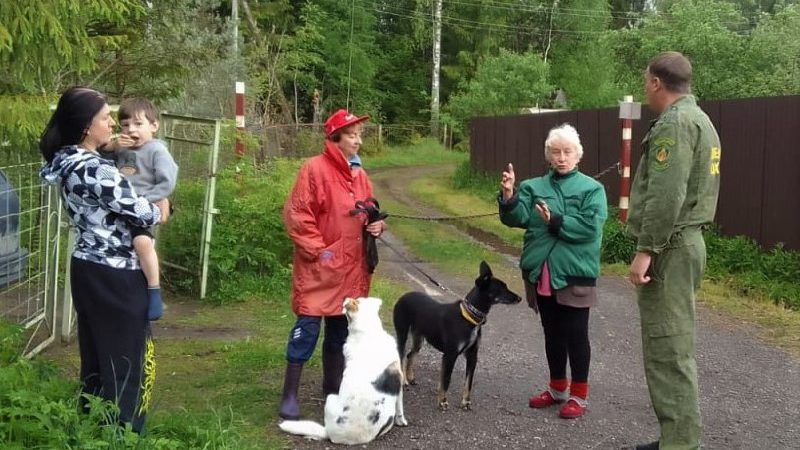 В Подмосковье началось мероприятие «Дачник»