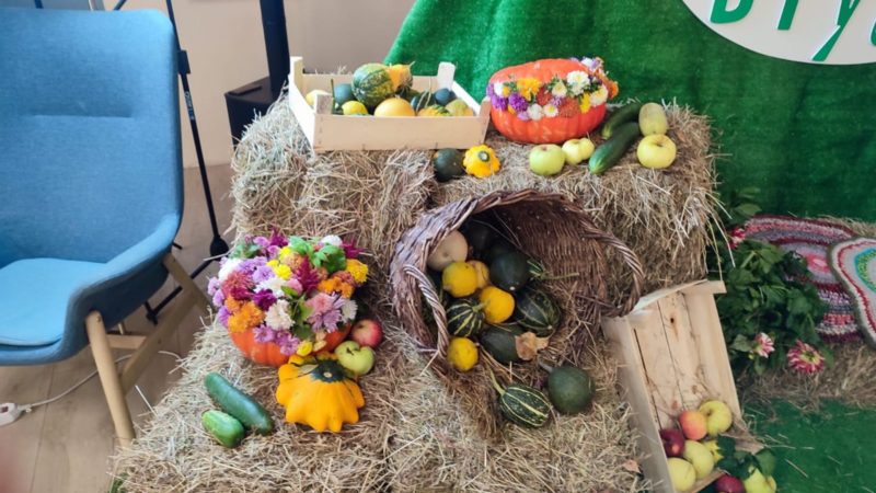 В Рузском округе прошел семейный фестиваль