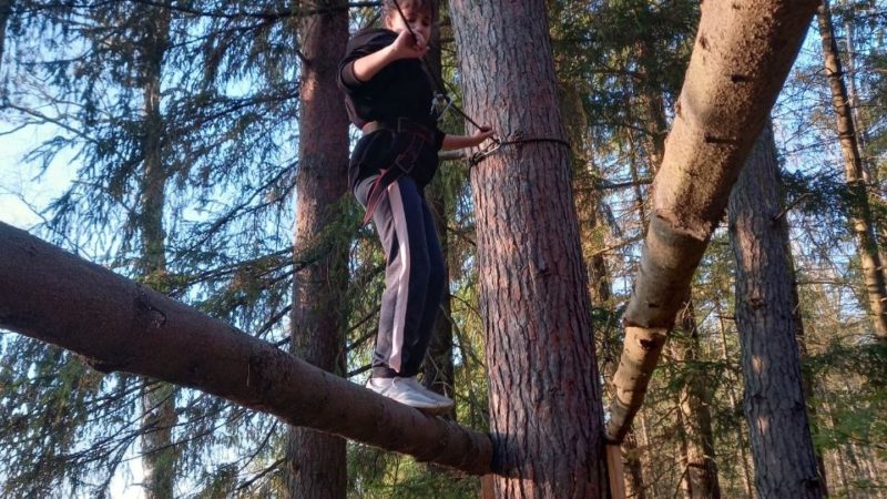 Юнармейцы: от теории — к практике