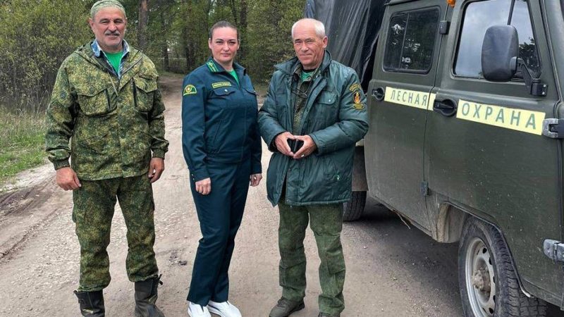 Почти 4 600 нарушений лесного законодательства выявлено с начала года