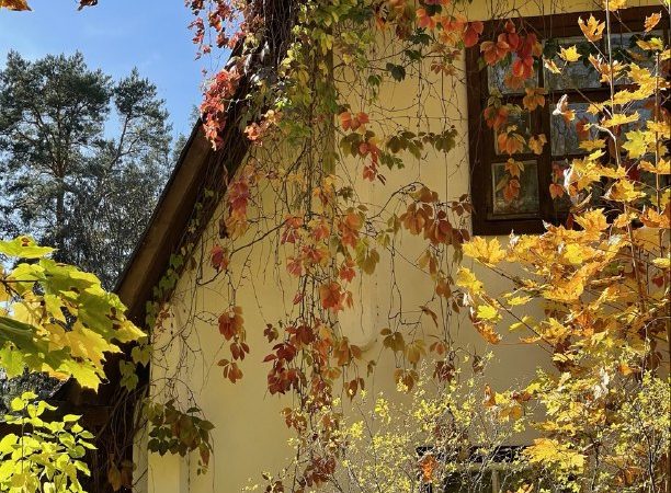 Домовладельцам — о «сельском тарифе» на электроэнергию