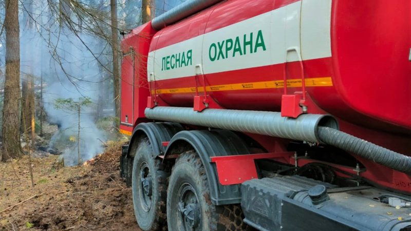 Подведены итоги пожароопасного сезона в лесах Московской области