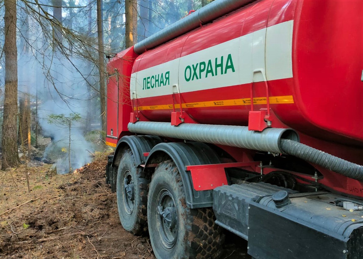 Подведены итоги пожароопасного сезона в лесах Московской области |  16.11.2023 | Руза - БезФормата