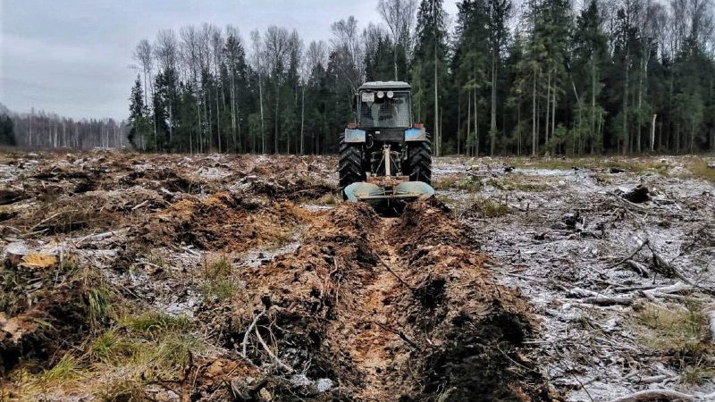 Под посадку леса в 2024 году  Московская область подготовила в шесть раз больше почвы