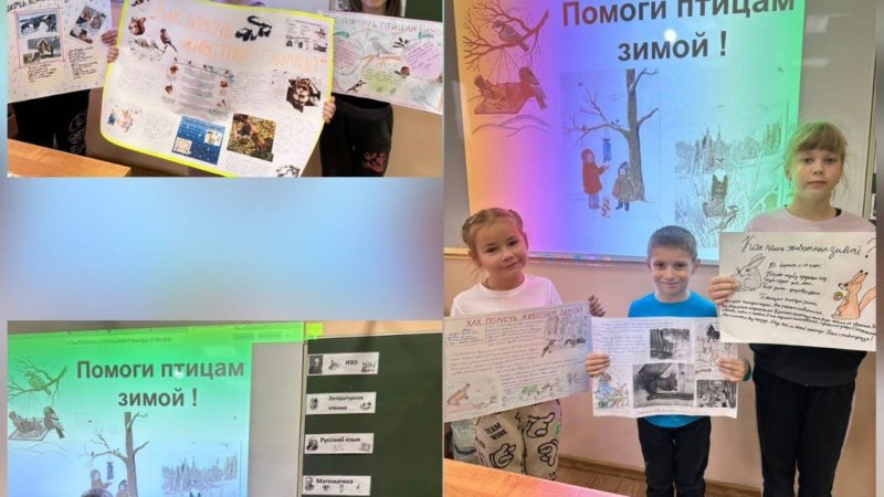 Тучковские школьники подготовили стенгазеты о зимующих птицах