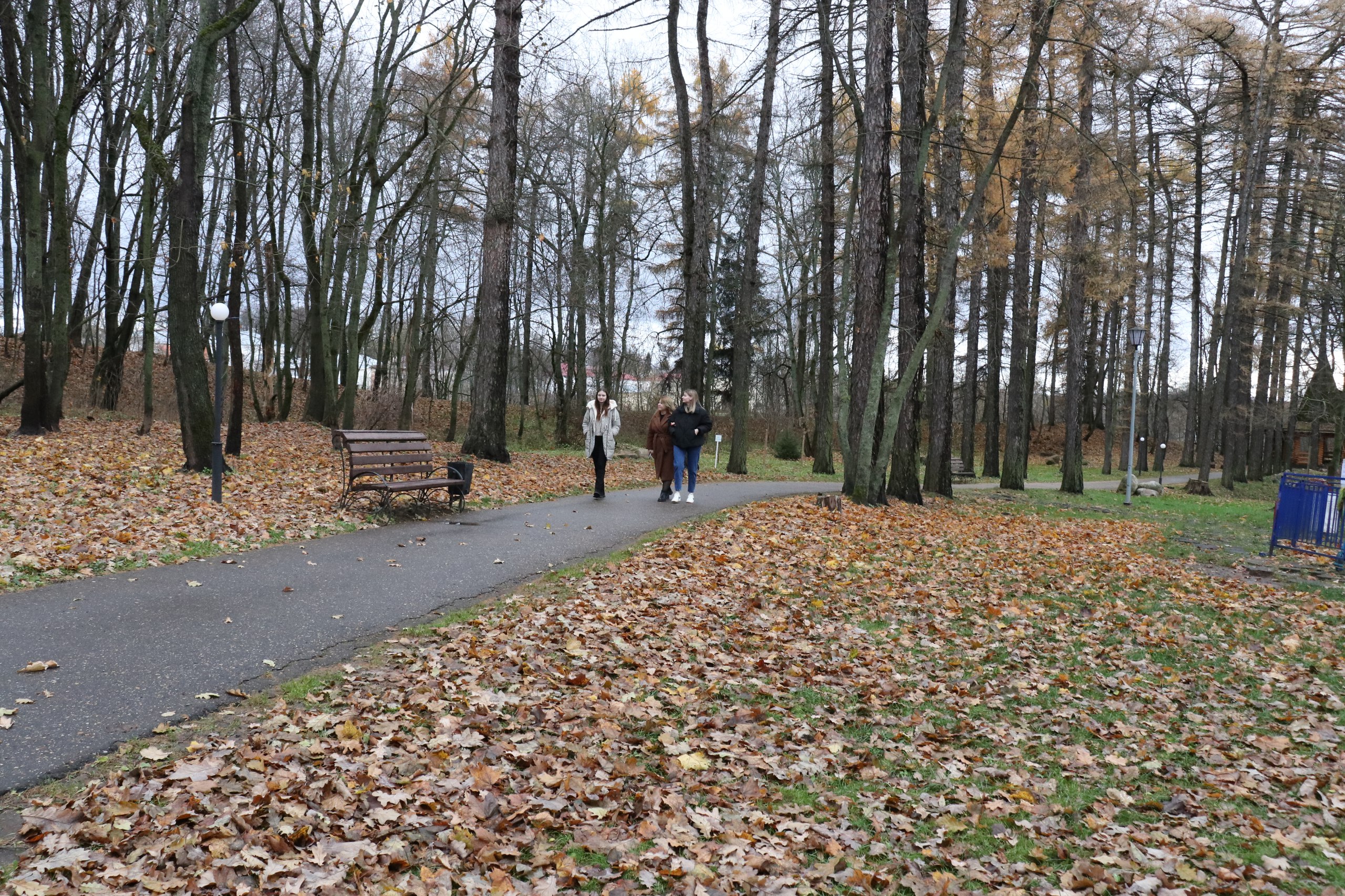 На Городке пройдут зарядка, мастер-класс и игры | 13.11.2023 | Руза -  БезФормата