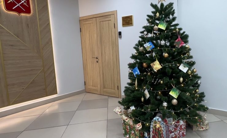 Глава округа вручил новогодние подарки юной дороховчанке