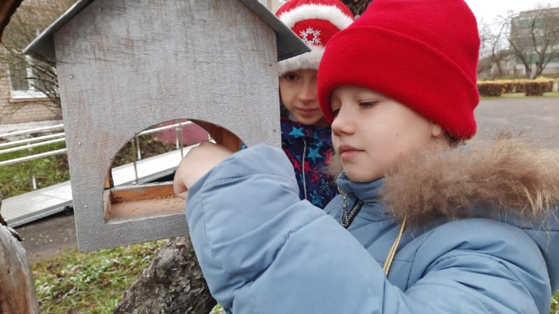 Пять школ Рузского округа участвуют в «Пернатом квартале»