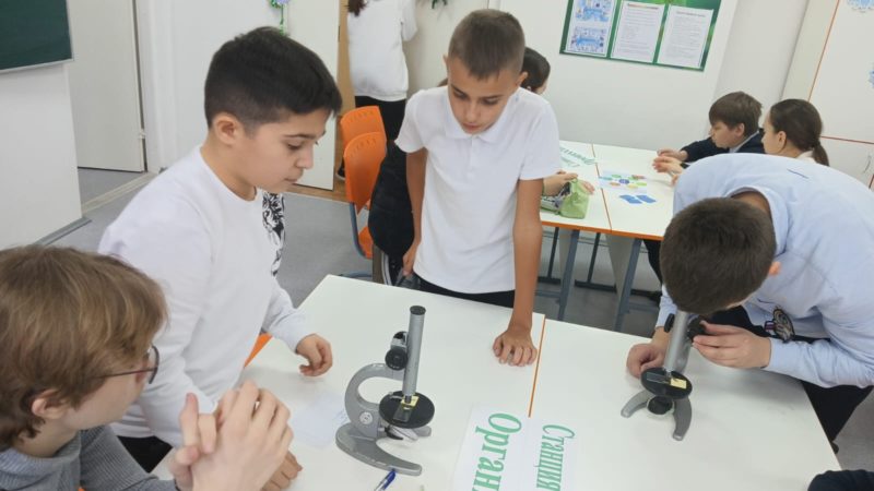 Рузские школьники решали биологические и экологические задачи