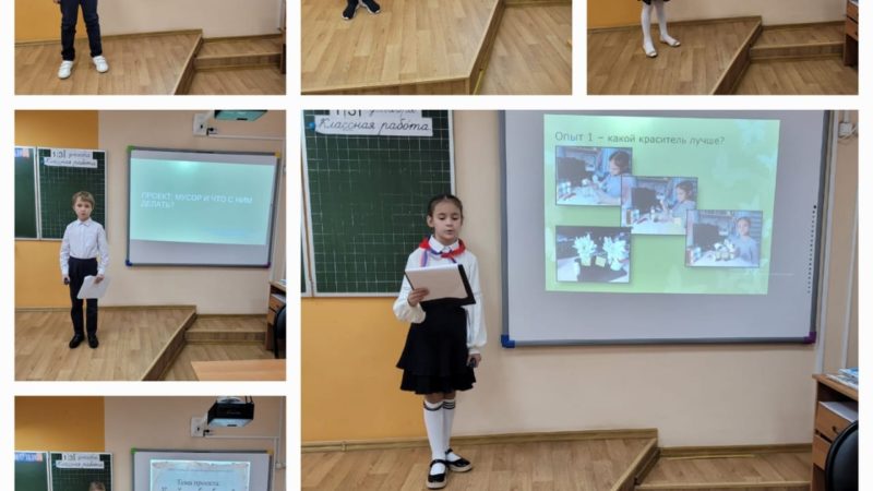 В Тучковской школе определены победители школьного этапа конференции учебно-исследовательских работ