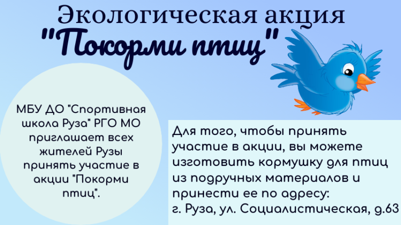 Ружане, приносите кормушки для птиц в спортшколу «Руза»