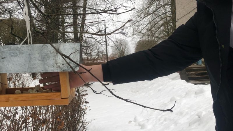 Космодемьянские школьники заботятся о пернатых